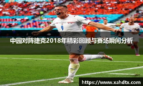 中园对阵捷克2018年精彩回顾与赛场瞬间分析