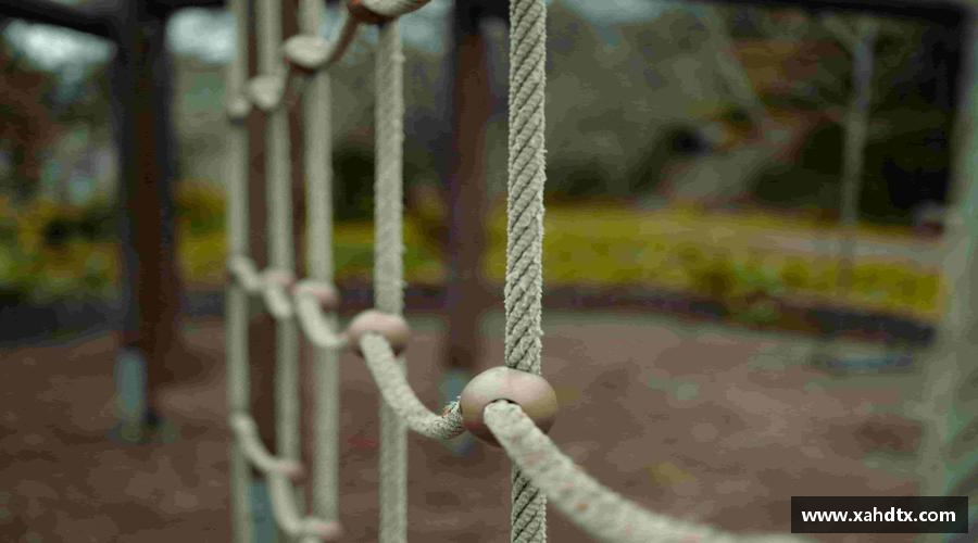 解析AG庄闲·(中国)集团